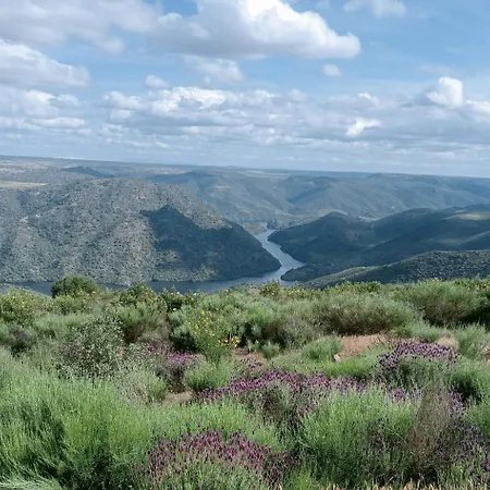 Casa Do Rossio * Fornos (Braganca)