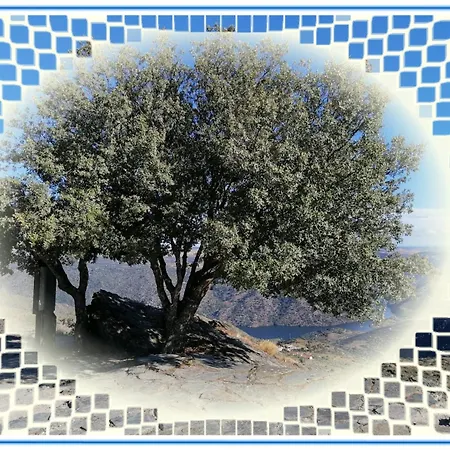 Casa Do Rossio * Fornos (Braganca)