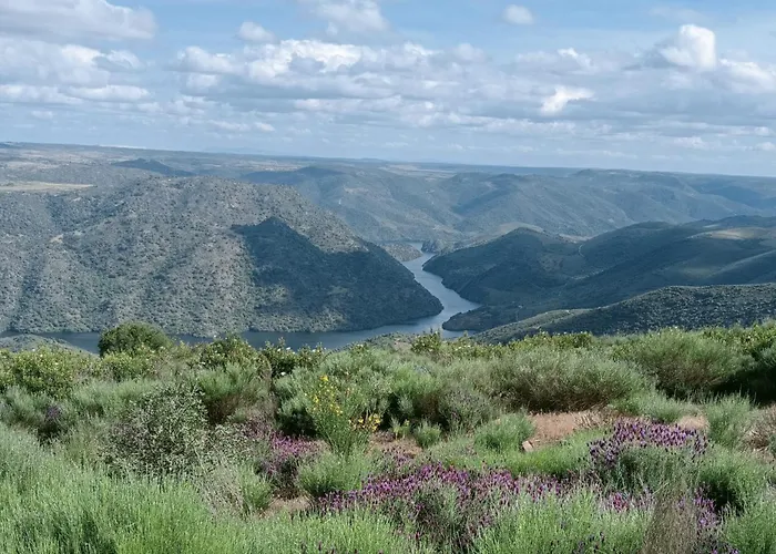 Casa Do Rossio * Fornos (Braganca)