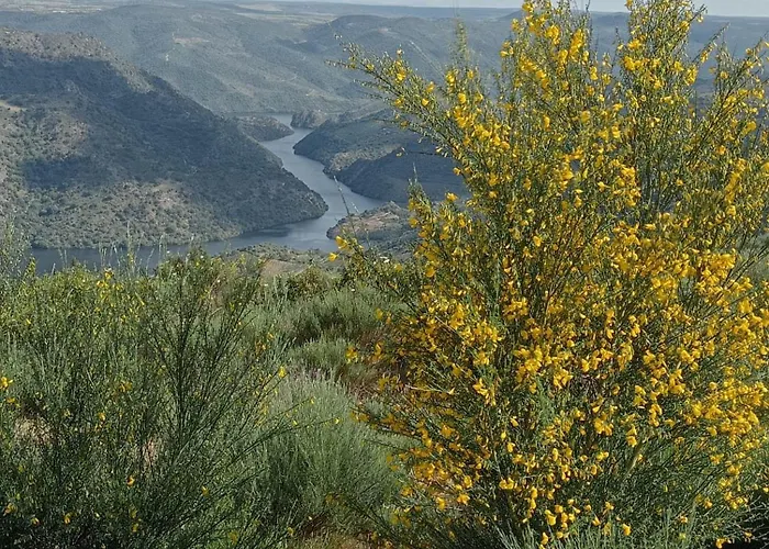 Casa Do Rossio بيت للعطل Fornos (Braganca)