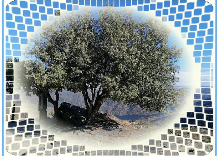 Casa Do Rossio * Fornos (Braganca)