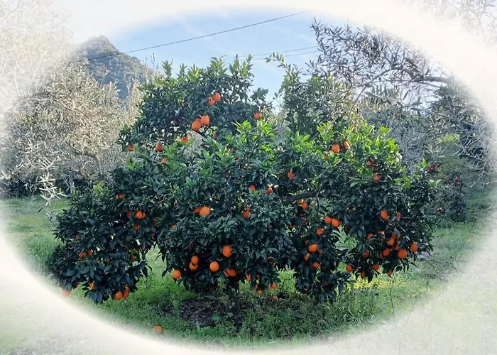 Casa Do Rossio Fornos (Braganca)