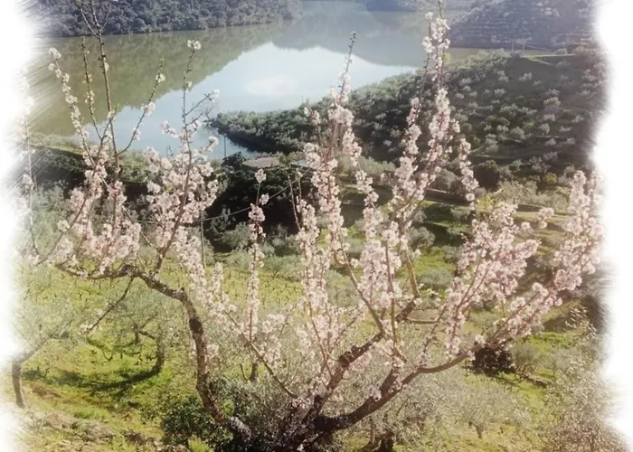 Casa Do Rossio بيت للعطل