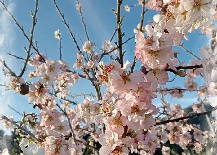 بيت للعطل Casa Do Rossio