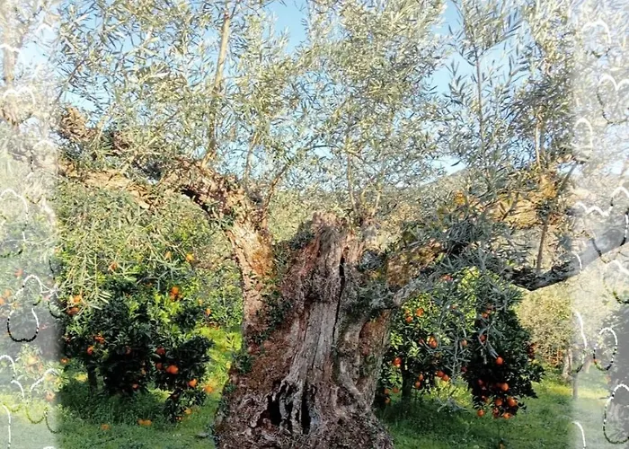 بيت للعطل Casa Do Rossio Fornos (Braganca)