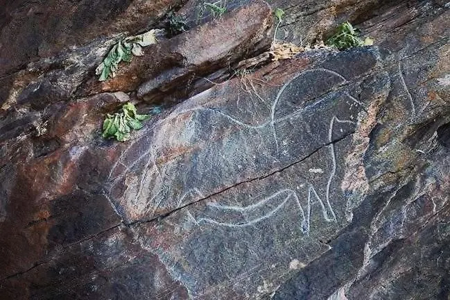 بيت للعطل Casa Do Rossio